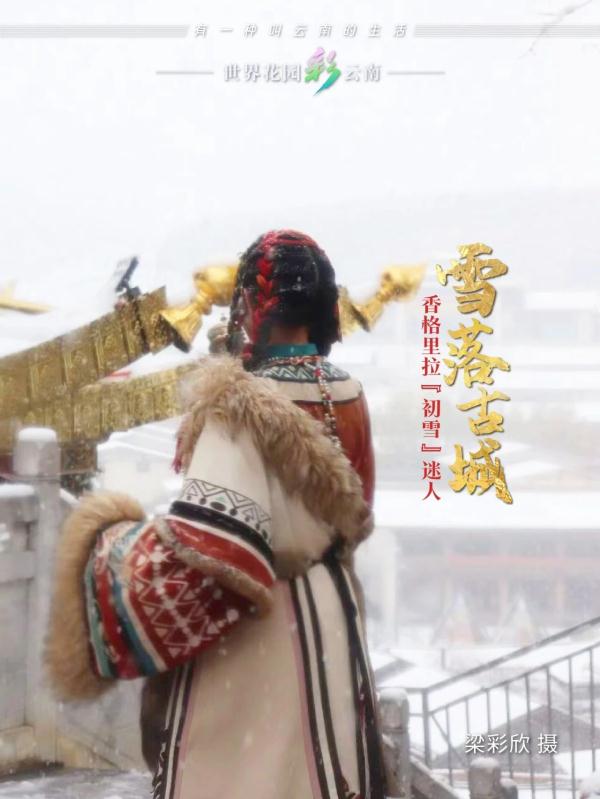 雪落古城,香格里拉“初雪”迷人 雪落古城,香格里拉“初雪”迷人