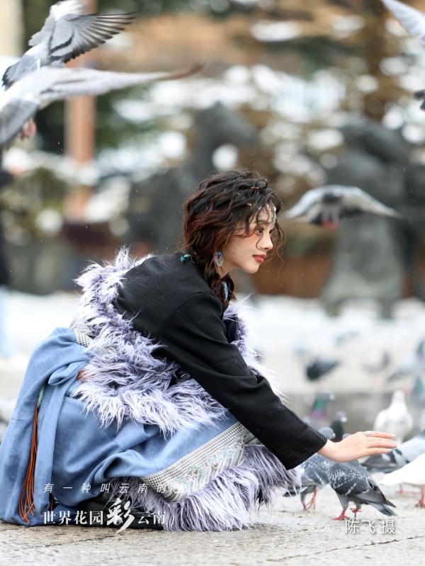 雪落古城,香格里拉“初雪”迷人 雪落古城,香格里拉“初雪”迷人