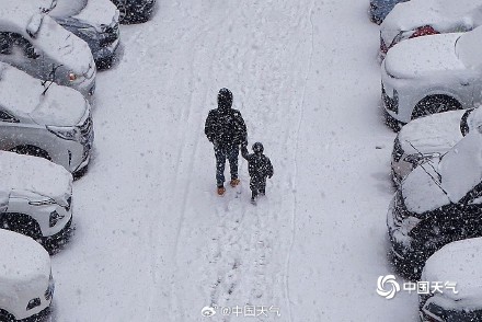 哈尔滨迎今冬第四场强降雪 雪花纷飞天地银白