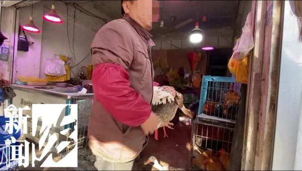 上海这条街整日热火朝天！都是违法的？有居民忍不了被迫搬离…
