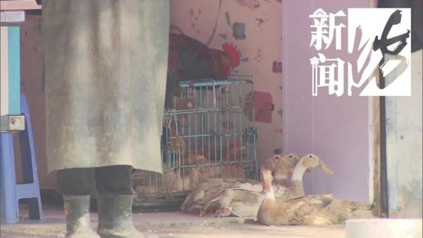 上海这条街整日热火朝天！都是违法的？有居民忍不了被迫搬离…