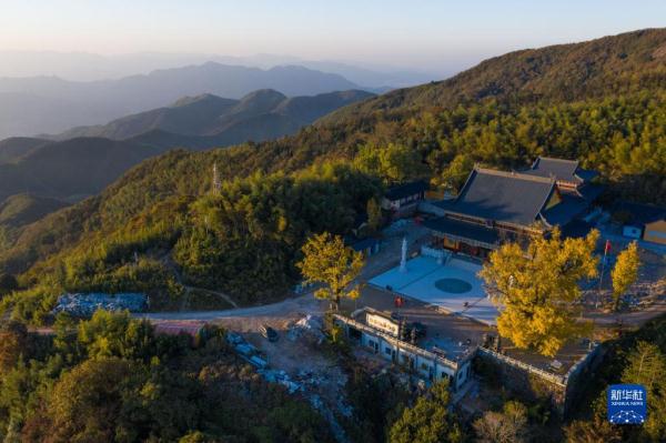 古银杏迎游客 古银杏迎游客