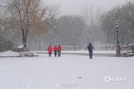哈尔滨迎今冬第四场强降雪 雪花纷飞天地银白