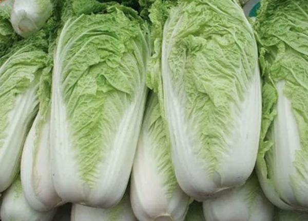 走进内蒙古、青海，感受小雪节气的特色风情！