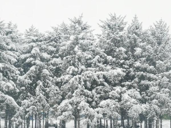 走进内蒙古、青海，感受小雪节气的特色风情！