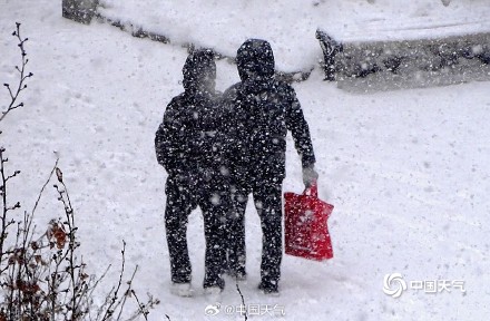 哈尔滨迎今冬第四场强降雪 雪花纷飞天地银白