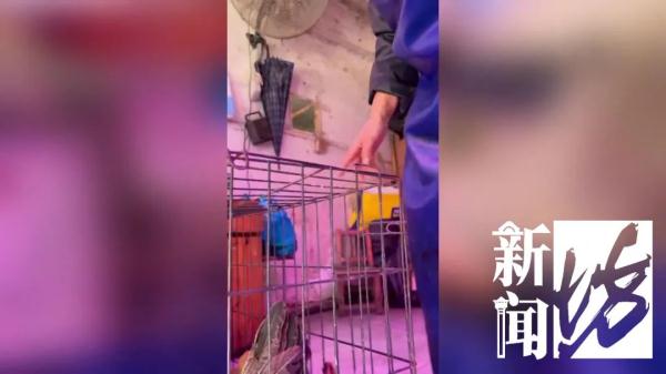 上海这条街整日热火朝天！都是违法的？有居民忍不了被迫搬离…