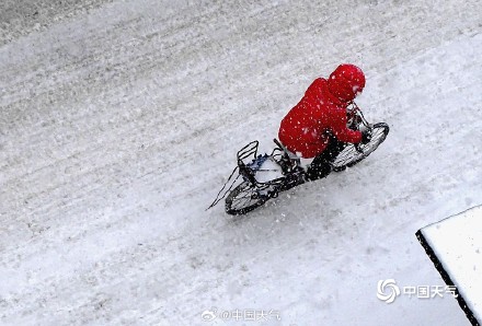 哈尔滨迎今冬第四场强降雪 雪花纷飞天地银白