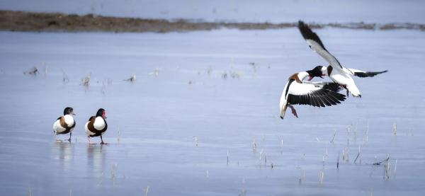 走进内蒙古、青海，感受小雪节气的特色风情！