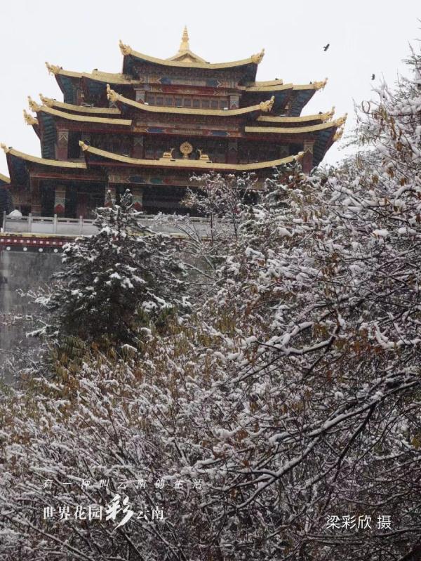 雪落古城,香格里拉“初雪”迷人 雪落古城,香格里拉“初雪”迷人