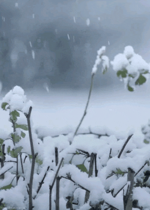 走进内蒙古、青海，感受小雪节气的特色风情！
