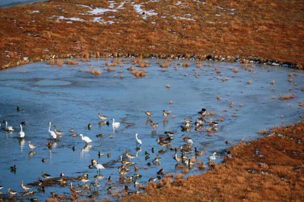 走进内蒙古、青海，感受小雪节气的特色风情！