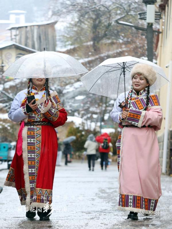雪落古城,香格里拉“初雪”迷人 雪落古城,香格里拉“初雪”迷人