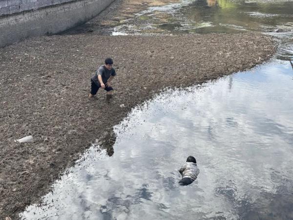 民警挽裤腿下泥塘勇救落水大妈 事后才发现自己竟变了模样