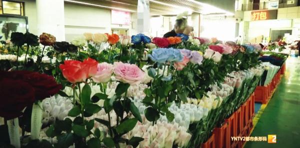 昆明鲜花价格有所上涨 ！原因竟是......