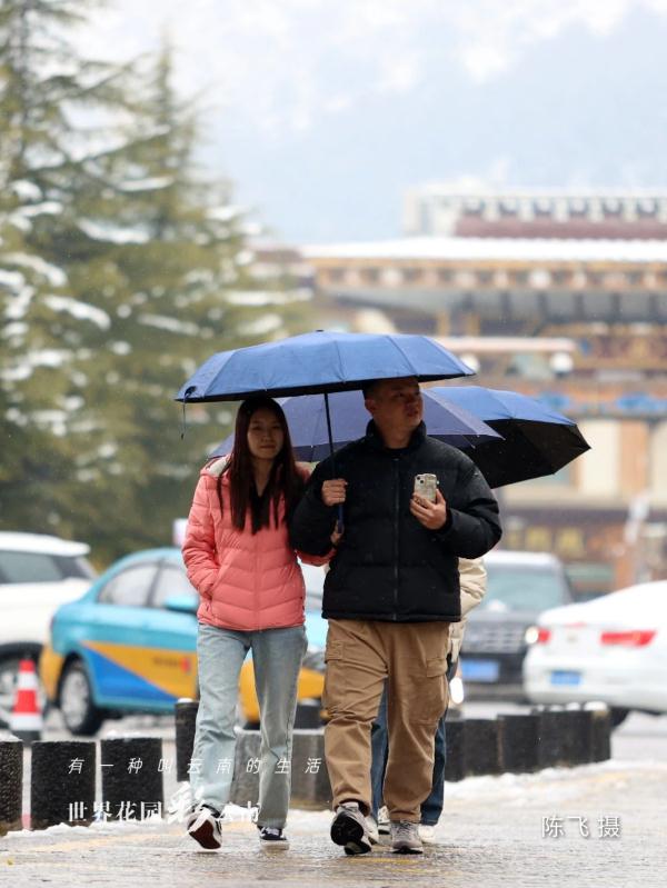 雪落古城,香格里拉“初雪”迷人 雪落古城,香格里拉“初雪”迷人