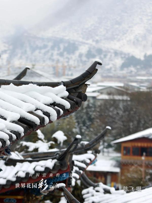 雪落古城,香格里拉“初雪”迷人 雪落古城,香格里拉“初雪”迷人