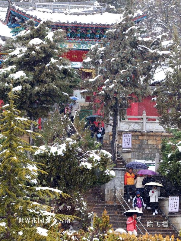 雪落古城,香格里拉“初雪”迷人 雪落古城,香格里拉“初雪”迷人