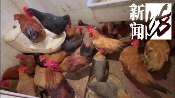 上海这条街整日热火朝天！都是违法的？有居民忍不了被迫搬离…