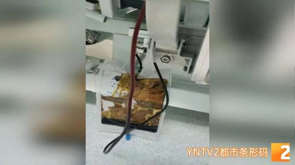 又见野生菌中毒！这个季节有种菌子刚好成熟，云南一男子采回来吃，结果……