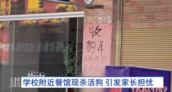餐馆当街杀活狗！叫声惨烈！过路居民直呼受不了...