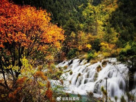 九寨沟银装素裹美如画 九寨沟银装素裹美如画