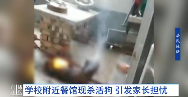 餐馆当街杀活狗！叫声惨烈！过路居民直呼受不了...