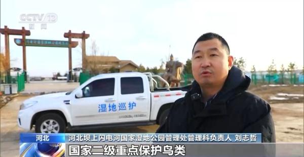 湿地生态持续向好 多地湿地公园迎来大批南迁候鸟