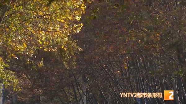 小雪至，北方多地大雪纷飞，云南蓝持续刷屏！未来天气……