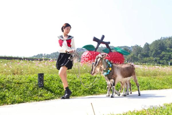 即将开工！东莞这里将新增一中心公园！
