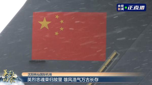 当年出征的少年，今天回家了!