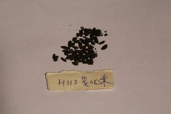 中华文明探源:五千年文明看良渚,八千年起源看这里 中华文明探源:五千年文明看良渚,八千年起源看这里