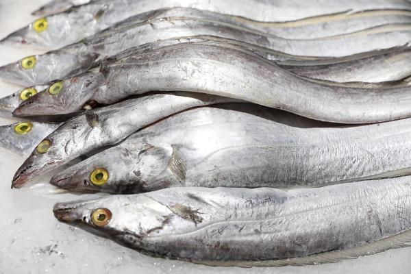 深海鱼中的“性价比之王”，低胆固醇、高蛋白！刺少肉多，老人小孩放心吃~