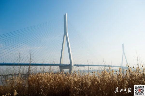 “最美桥梁”公布，武汉唯一入选的是它