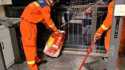 下班回到家，屋内惊现6条蛇！原因竟是...