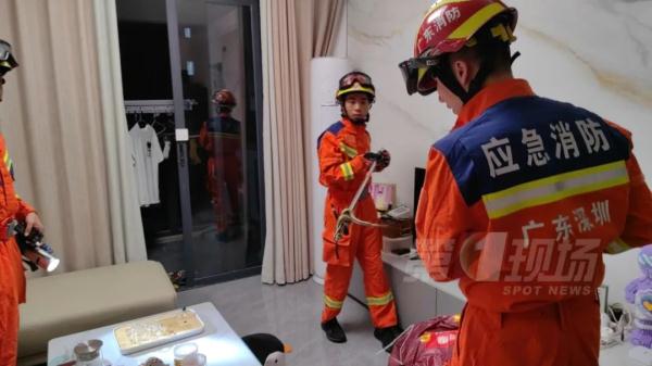 下班回到家，屋内惊现6条蛇！原因竟是...