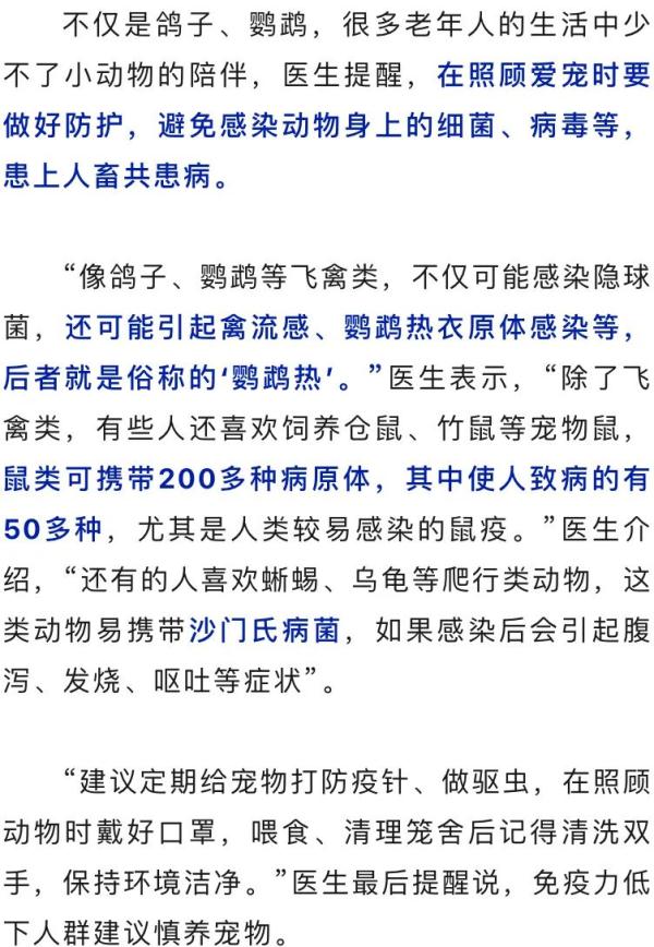 洛阳发现1例确诊！竟是被宠物感染