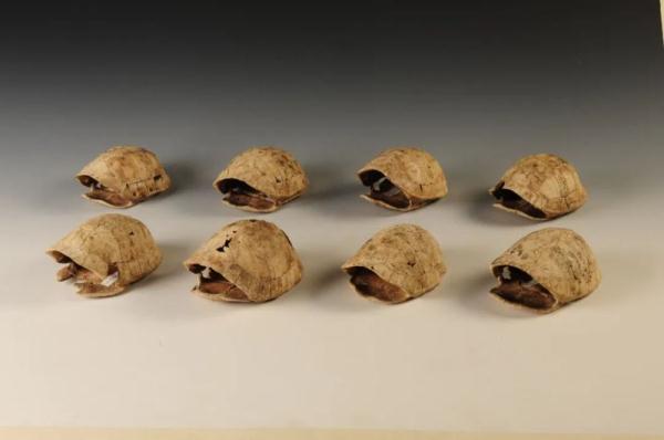 中华文明探源:五千年文明看良渚,八千年起源看这里 中华文明探源:五千年文明看良渚,八千年起源看这里