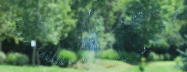 是谁在从北极飞到南极啊? 是谁在从北极飞到南极啊?