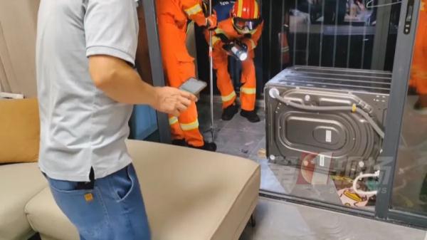 下班回到家，屋内惊现6条蛇！原因竟是...