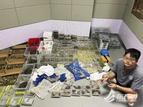 触目惊心！1400多只，全部活体