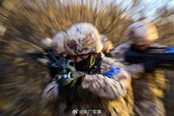 帅！武警特战队员密林深处训练大片