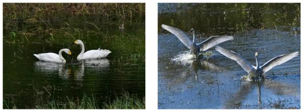 进入多发期，广东：严打这类行为→