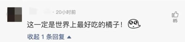 大学生送昏迷小朋友就医获赠橘子 网友：“这一定是世界上最好吃的橘子！”
