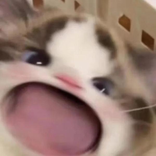 书包落在公交车上，交警立即帮忙找回！暖心行动持续进行中......