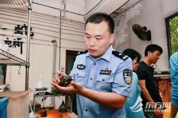 触目惊心！1400多只，全部活体