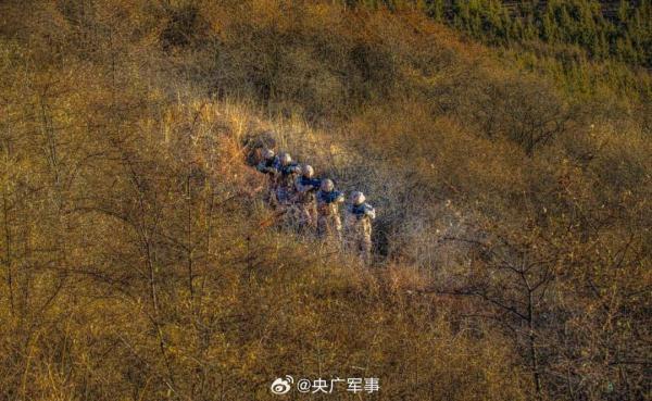 帅！武警特战队员密林深处训练大片
