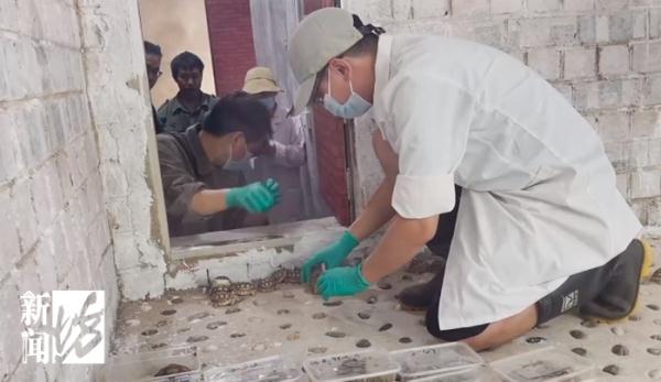 上海警方告破大案:迄今案值最大!整整1400余只... 上海警方告破大案:迄今案值最大!整整1400余只...