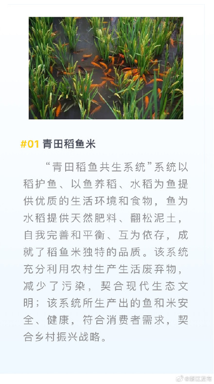 浙江8个案例入选全国典型