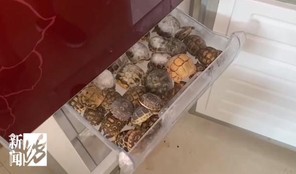 上海警方告破大案:迄今案值最大!整整1400余只... 上海警方告破大案:迄今案值最大!整整1400余只...